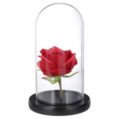 Dôme verre pour cloche 7 - verre,
