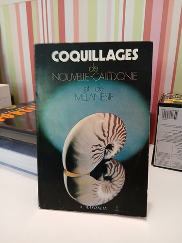 Coquillages nouvelle - coquillages,