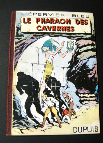 Epervier bleu pharaon des - l'epervier,