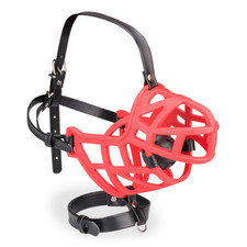Muselière avec gag-ball