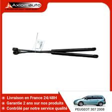 🇫🇷 VERIN HAYON G PEUGEOT