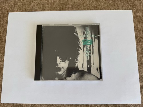 The waterboys pagan place - the,