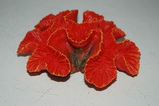 Décoration De Récif De