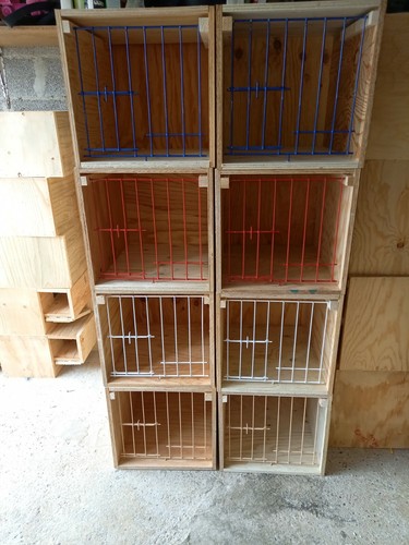 Casier pigeon voyageur type - a,