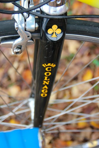 Colnago flash yellow - flash,