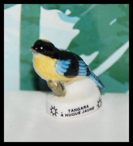Fève oiseau édition atlas - fÈve,