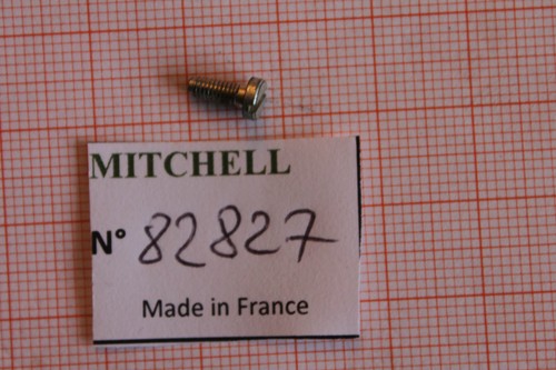 Vis cache pièce mitchell - vis, 4450