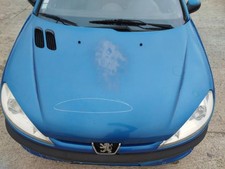 Capot PEUGEOT 206 PHASE 1 CABRIOLET 7901K1