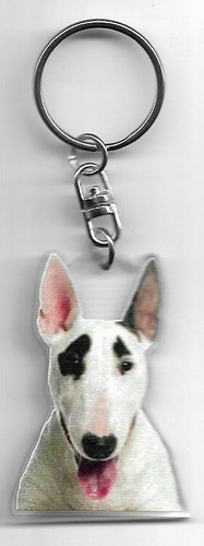 Bull terrier chien porte - terrier,