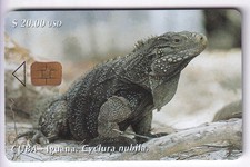 AMERIQUE  TELECARTE / PHONECARD .. CUBA 20$ IGUANE IGUANA 05/00 CHIP/PUCE