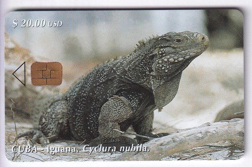 Amerique telecarte - telecarte, /