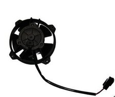 Ventilateur de sport
