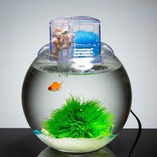 Aquarium rond en verre pour