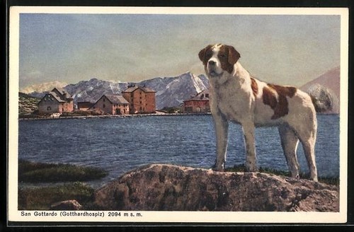 San gottardo saint bernard - gottardo,, saint-bernard