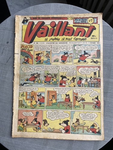 Vaillant journal plus - vaillant, le