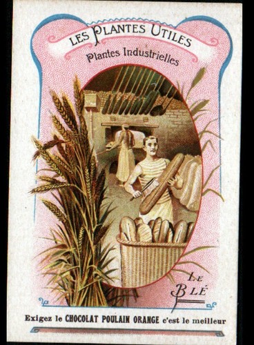 Image chromo chocolat - chromo,