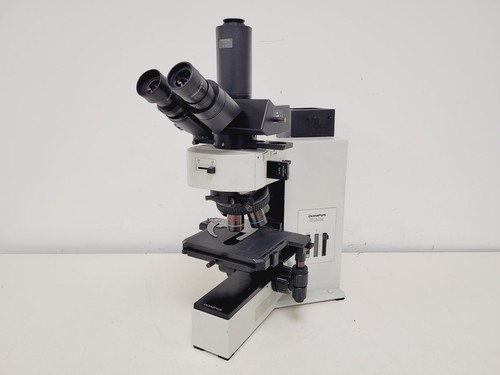 Olympus bx60m microscope - microscope, À