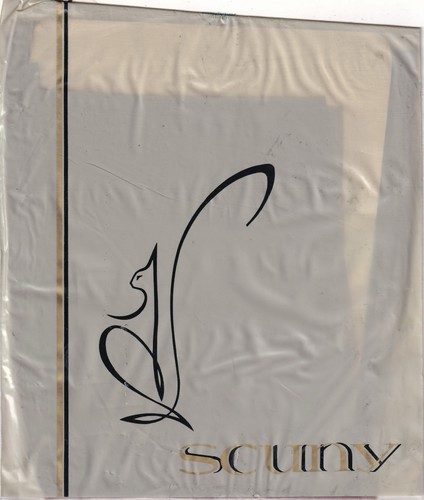 Bas nylon scuny coloris café - bas,