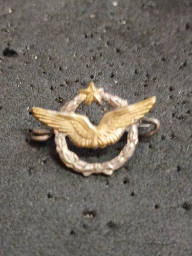 Insigne brevet pilote - insigne,