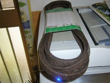 Courroie Moteur - Autoportée