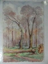 aquarelle - sous-bois - parc