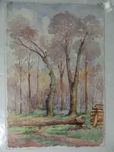 Aquarelle sous bois - -,