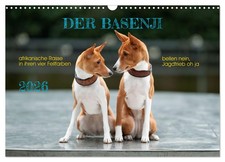 Le basenji (Calendrier mural 2026 DIN A3 horizontal), CALVENDO calendrier mensue