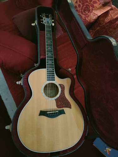 Guitare folk electro