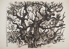 Edouard PIGNON : Le vieil