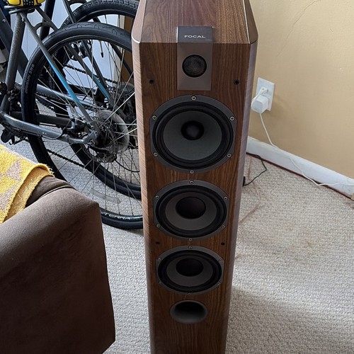Focal chorus 726 standing - chorus,