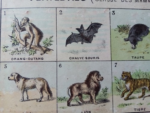 1910 rare jeu ancien - c.,