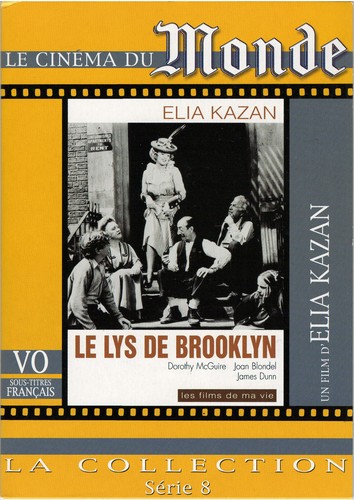 Lys brooklyn elia - le,