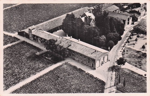 Pauillac chateau mouton - pauillac,