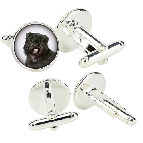 Bouvier des flandres - des,
