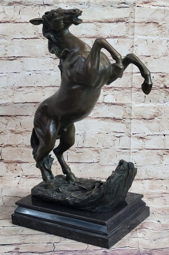 Rearing horse hind - on, legs