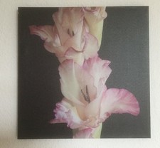 Tableau fleur 40x40 toile