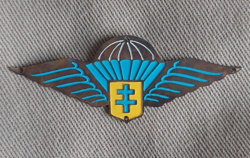 Insigne parachutiste ffl - insigne,