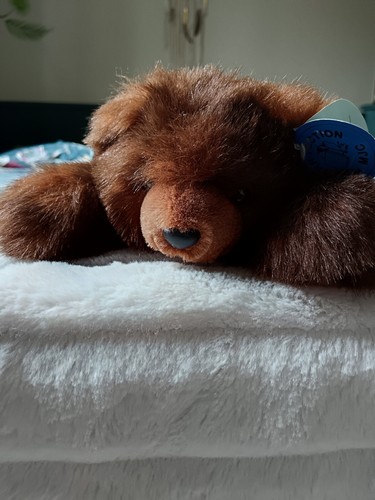 Magnifique peluche ourson - magnifique,