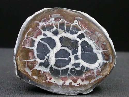Septaria maroc 7 - 5,7, 4,6