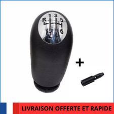 POMMEAU CHROME DE LEVIER 6