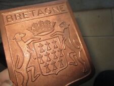 ECUSSON DE CALANDRE AUTOMOBILE BRETAGNE