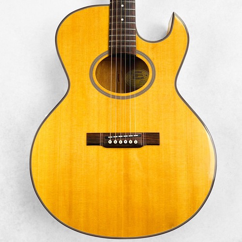 Washburn cutaway - ea-30,