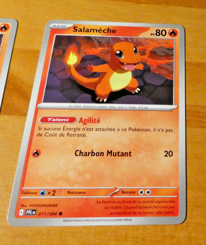 Pokemon francaise card carte - pokemon,