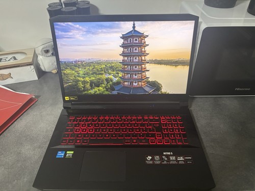 Portable gamer - pc,