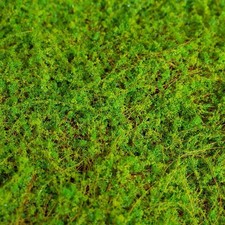 Tapis mousse artificielle