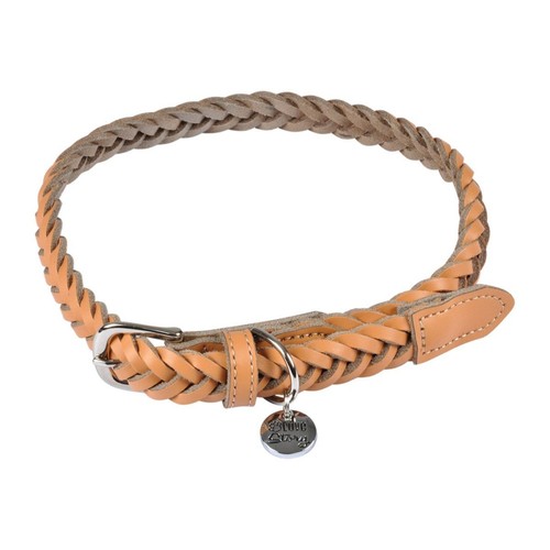 Collier pour chien - pour, réglable