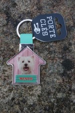 V15 MAGNIFIQUE  PORTE CLE CLES