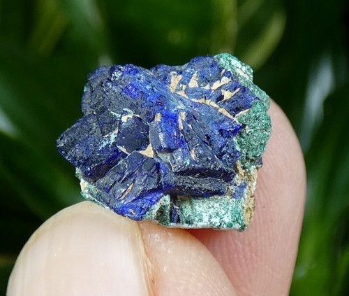Cristaux azurite chessylite - cristaux,