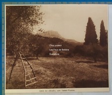 Aprés les Olivades vers