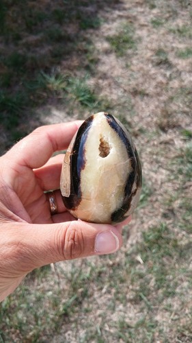 Septaria forme oeuf - forme,